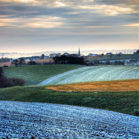 paysage le foeil 14_02_10n01.jpg